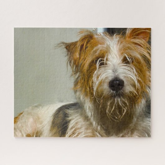 ウェスティードッグズジグサウ。 ジグソーパズル (横)