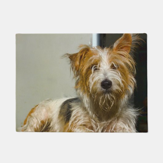 ウェスティードッグ。 ドアマット (正面)