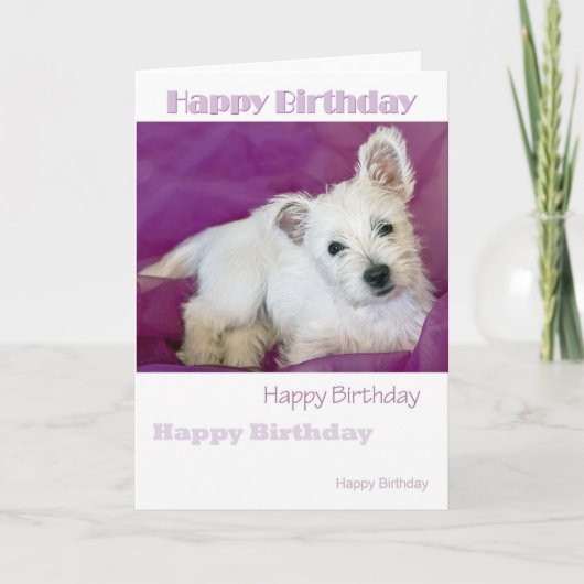 ウェスティープップカード カード (正面)