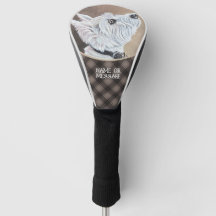 ウェスティールアッププロフィールB