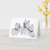 ウェスティー会議 カード (黄色い花)