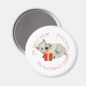 ウェスティー子犬の最初のクリスマス マグネット (正面/裏面)