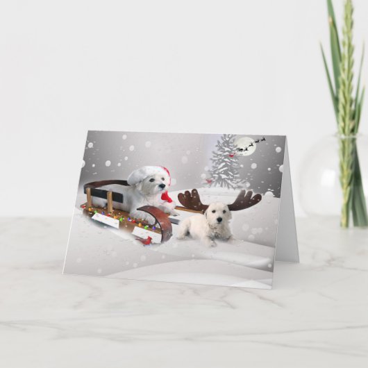 ウェスティー楽しむパルスクリスマスデイスレディング シーズンカード (正面)