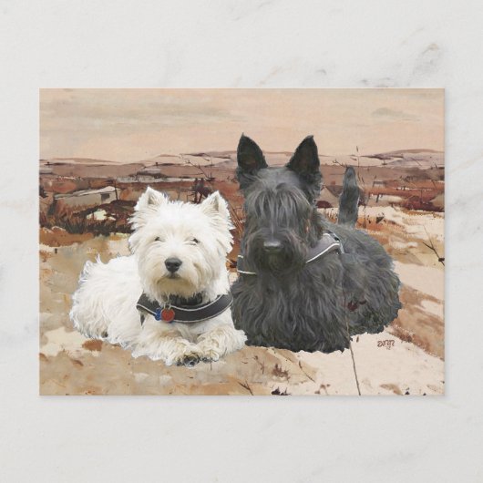 ウェスティー&スコッティが一緒に秋 ポストカード (正面)