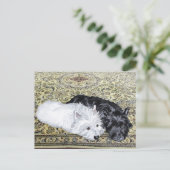 ウェスティー&スコットティアットイーズ ポストカード (スタンド正面)