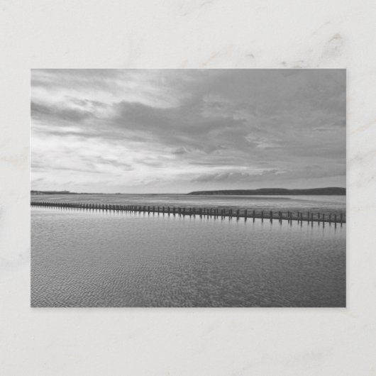 ウェストすごいンマーレ白黒 ポストカード (正面)