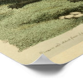 ウェストインディクロコダイル自然史プリント ポスター (角)