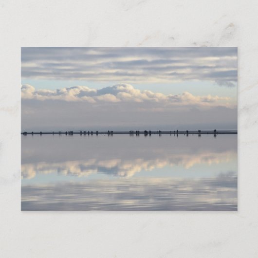 ウェストカービーマリーナ ポストカード (正面)