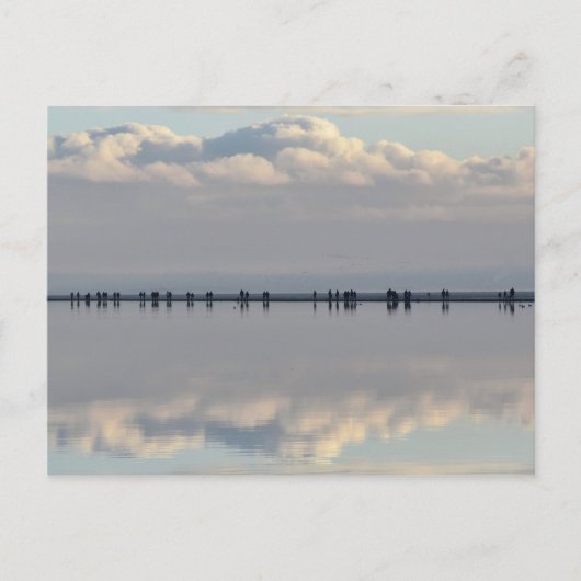 ウェストカービーマリーナ ポストカード (正面)