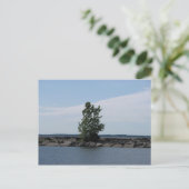 ウェストコット湾 ポストカード (スタンド正面)