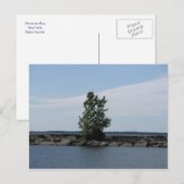 ウェストコット湾 ポストカード (正面/裏面)