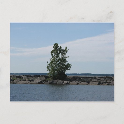 ウェストコット湾 ポストカード (正面)