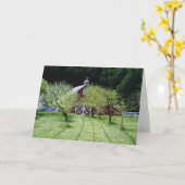 ウェストサイドの納屋 カード (黄色い花)