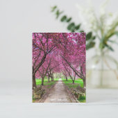 ウェストチェスターエバーハートパークポストカード ポストカード (スタンド正面)