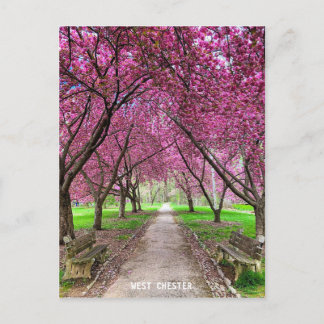 ウェストチェスターエバーハートパークポストカード ポストカード