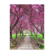 ウェストチェスターエバーハートパークポストカード