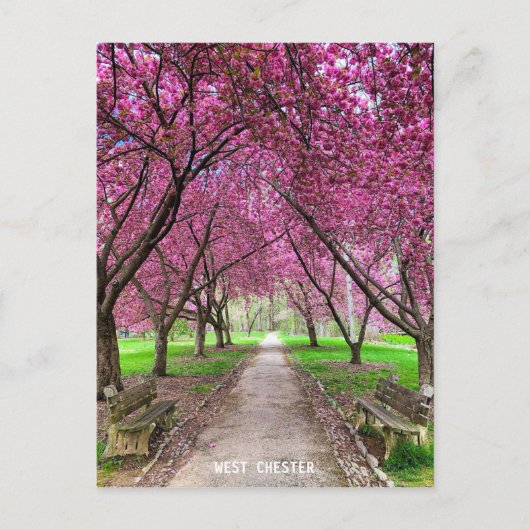 ウェストチェスターエバーハートパークポストカード ポストカード (正面)