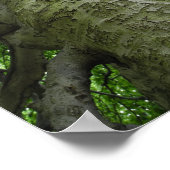 ウェストチェスターNYツリーマーキングス写真プリント ポスター (角)