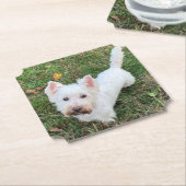 ウェストハイランドテリア ペーパーコースター (アングル)