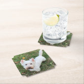 ウェストハイランドテリア ペーパーコースター (インサイチュ)