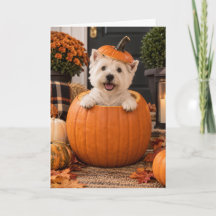 ウェストハイランドテリア 秋のハロウィン グリーティング