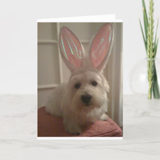 ウェストハイランドバニー カード