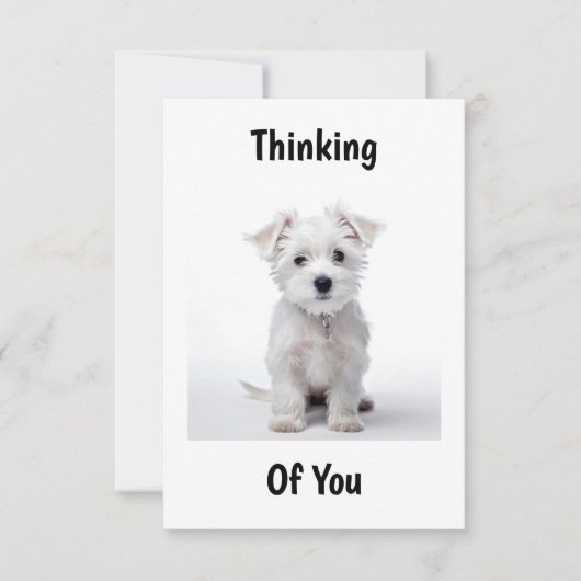 ウェストハイランドホワイトテリアの子犬が座って考えている カード (正面)