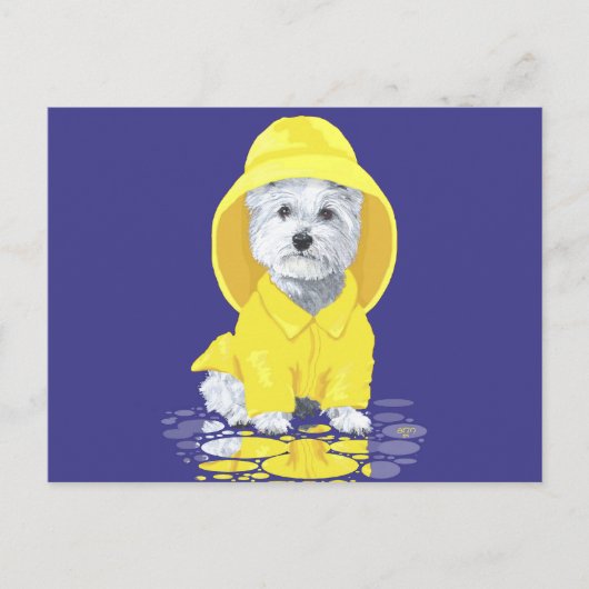ウェストハイランドホワイトテリア 四月の雨 ポストカード (正面)