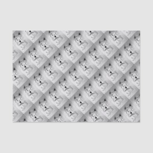 ウェストハイランドホワイトテリア 薄葉紙 (正面)