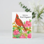 ウェストバージニアのノーザンカーディナルからこんにちは ポストカード (スタンド正面)