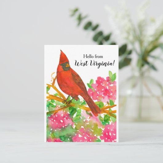 ウェストバージニアのノーザンカーディナルからこんにちは ポストカード (スタンド正面)