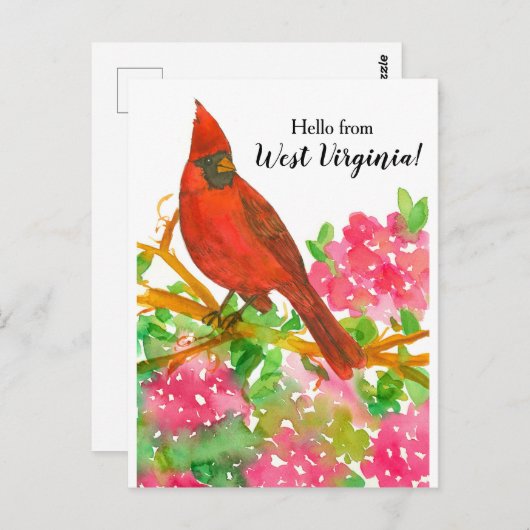 ウェストバージニアのノーザンカーディナルからこんにちは ポストカード (正面/裏面)