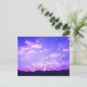 ウェストバージニアサンライズパープル ポストカード (スタンド正面)