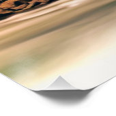 ウェストバージニアバブコック州パーク ポスター (コーナー)