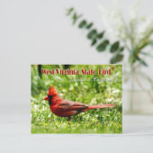 ウェストバージニア州の州鳥 - ノーザンカーディナル ポストカード (スタンド正面)