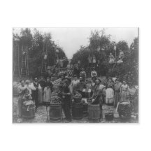 ウェストバージニア州バークレー郡のリンゴ狩り