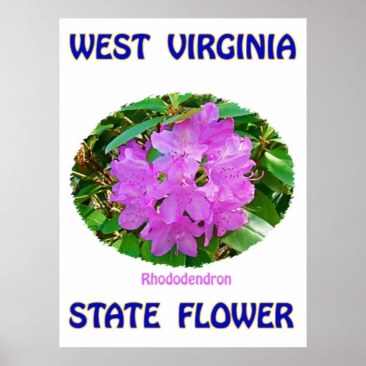 ウェストバージニア州フラワー、シャクナゲ、ポスター ポスター (正面)