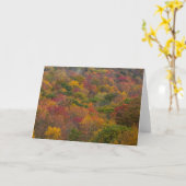 ウェストバージニア州ランドルフ郡のハードウッドフォレスト カード (黄色い花)