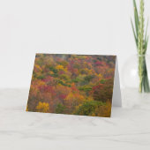 ウェストバージニア州ランドルフ郡のハードウッドフォレスト カード (正面)