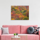 ウェストバージニア州ランドルフ郡のハードウッドフォレスト キャンバスプリント (インサイチュ (リビング))