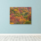 ウェストバージニア州ランドルフ郡のハードウッドフォレスト キャンバスプリント (インサイチュ (ウッドフロア))