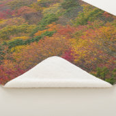 ウェストバージニア州ランドルフ郡のハードウッドフォレスト シェルパブランケット (3/4)