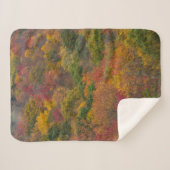 ウェストバージニア州ランドルフ郡のハードウッドフォレスト シェルパブランケット (正面(横))