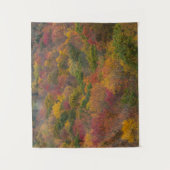 ウェストバージニア州ランドルフ郡のハードウッドフォレスト タペストリー (正面)