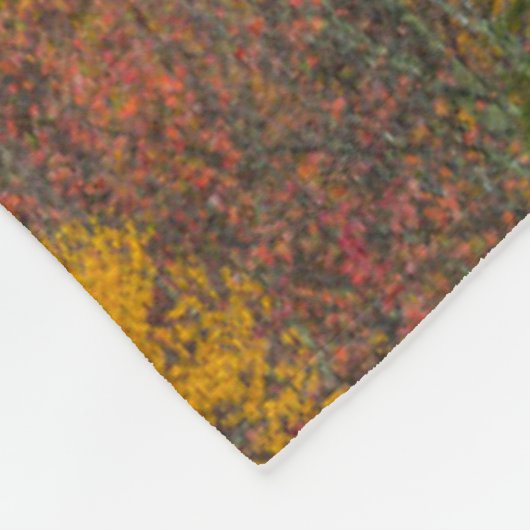 ウェストバージニア州ランドルフ郡のハードウッドフォレスト フリースブランケット (角)