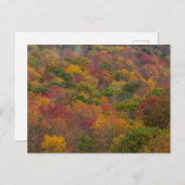 ウェストバージニア州ランドルフ郡のハードウッドフォレスト ポストカード (正面/裏面)