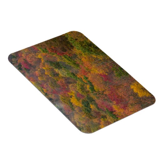 ウェストバージニア州ランドルフ郡のハードウッドフォレスト マグネット (右側)