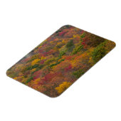 ウェストバージニア州ランドルフ郡のハードウッドフォレスト マグネット (左側)