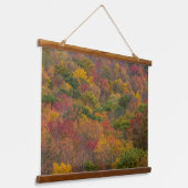 ウェストバージニア州ランドルフ郡のハードウッドフォレスト 吊り下げ型タペストリー (傾斜あり)