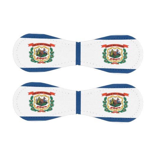 ウェストバージニア州旗を持つ愛国野球 野球ボール (パネル)